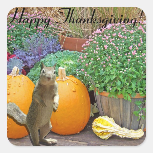 Cute Squirrel Thanksgiving Square Sticker (Front)