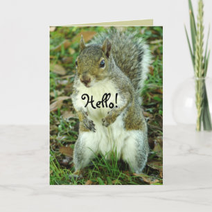 Cute Squirrel, Thinking of You Card