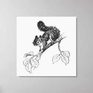 Cute Squirrel Vintage Squirrel Illustration Canvas Print