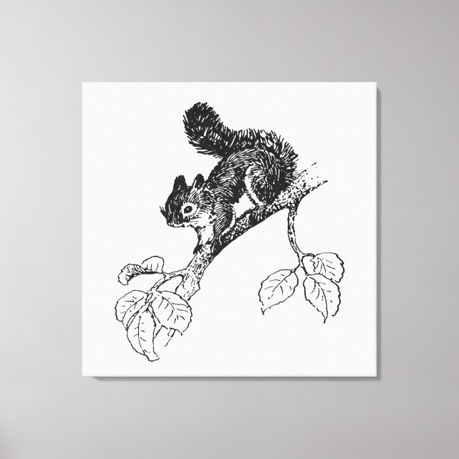 Cute Squirrel Vintage Squirrel Illustration Canvas Print (Front)
