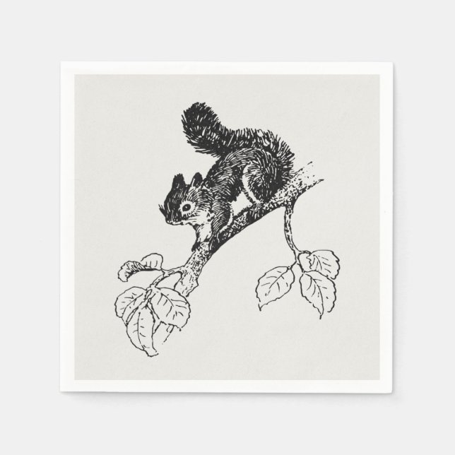 Cute Squirrel Vintage Squirrel Illustration Napkin (Front)