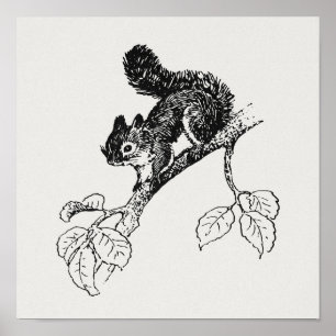 Cute Squirrel Vintage Squirrel Illustration Poster