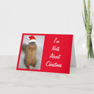 Cute Squirrel wearing a Santa Claus Hat Card