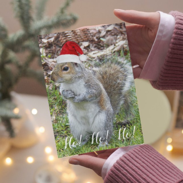 Cute Squirrel Wearing Red Santa Cap Holiday Card (In Situ)