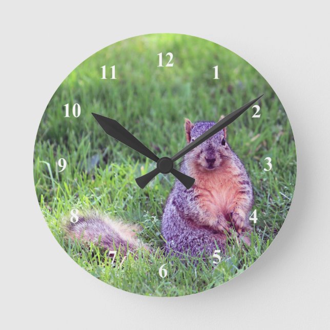 Cute Squirrel Wildlife Photo Round Clock (Front)