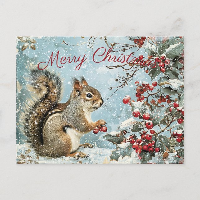 Cute Squirrel Winter Christmas Holiday Postcard (Front)