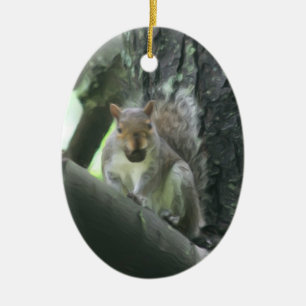 Cute Squirrel With Nut Animal Ornament