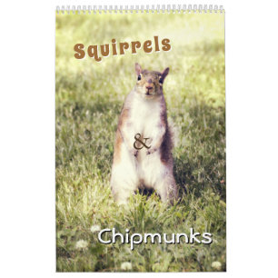 Cute Squirrels and Chipmunks Funny Animal Photos Calendar
