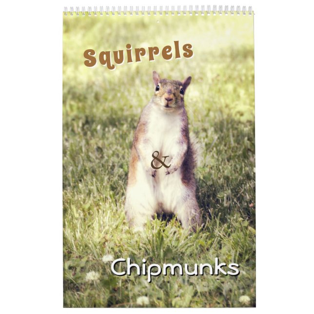 Cute Squirrels and Chipmunks Funny Animal Photos Calendar (Cover)
