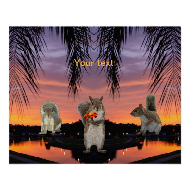 Cute Squirrels at Tropical sunset  Poster (Front)