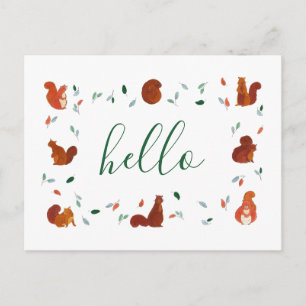 Cute Squirrels Postcard