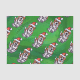 Cute St. Bernard in Hat Pattern on Green Tissue Paper