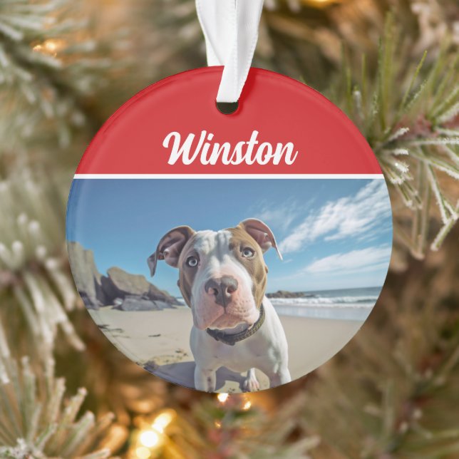 Cute Staffordshire Dog Holiday Christmas Photo Ornament (Tree)