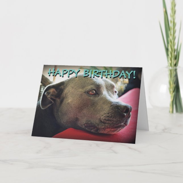 Cute staffy customised greetings card (Front)
