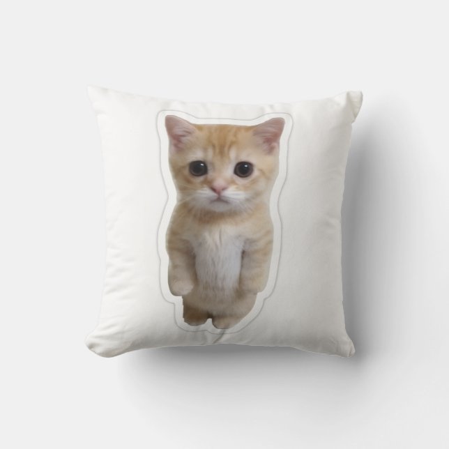 Cute Standing Orange Kitten Pillowcase Cushion (Front)