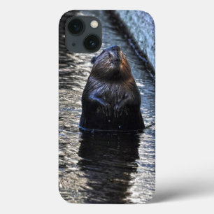 Cute Standing Wild Beaver 2 Wildlife Photo iPhone 13 Case