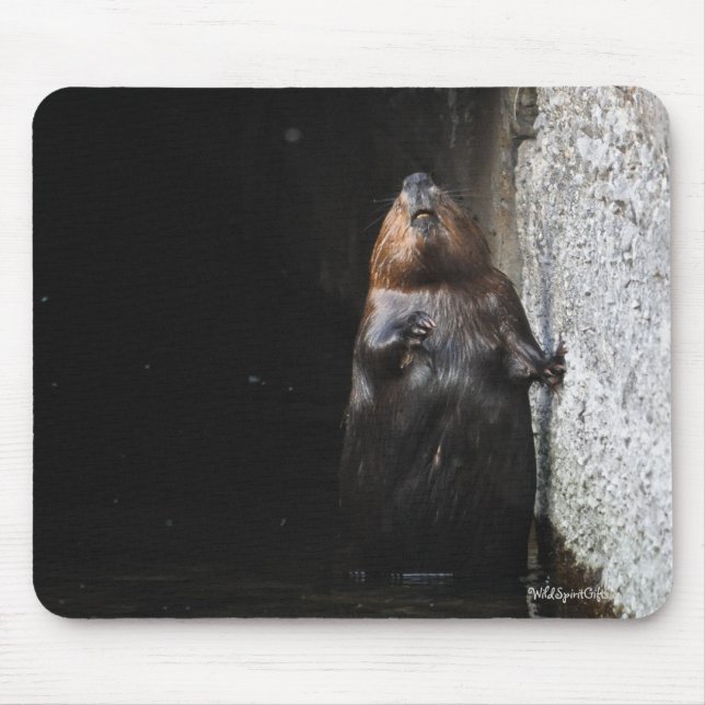 Cute Standing Wild Beaver Wildlife Photo Mouse Mat (Front)
