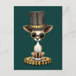 Cute Steampunk Chihuahua Puppy Dog, teal Postcard
