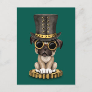 Cute Steampunk Pug Puppy Dog, teal Postcard