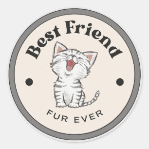 CUTE! Stickers - Best Friend Fur Ever - Kitty