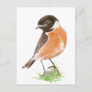 Cute Stonechat,, Watercolor Bird Collection Postcard
