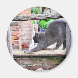 Cute Stretching cat Magnet