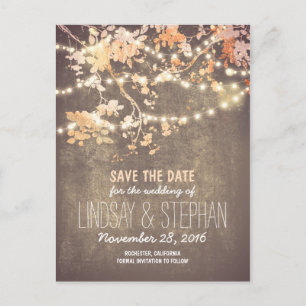 cute string lights rustic save the date postcards