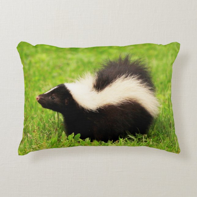 Cute Striped Skunk Decorative Cushion (Front)