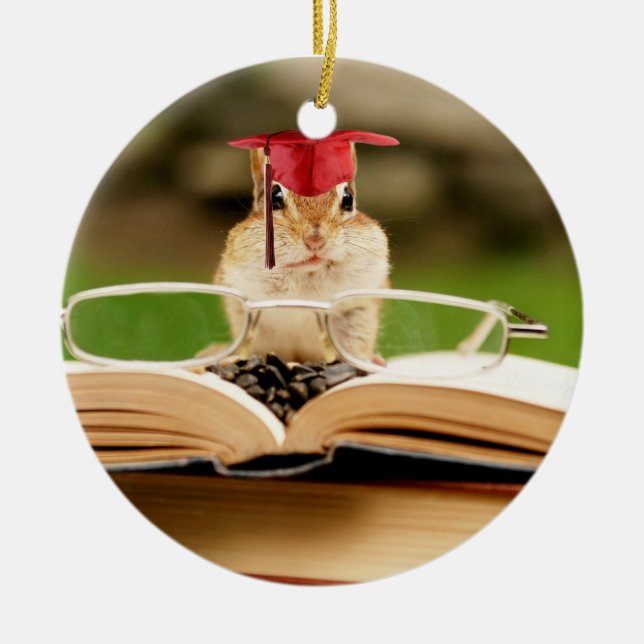 Cute Studying Chipmunk Graduate Ornament (Front)