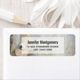  Cute Stuffed Bear Rustic Wooden Wall