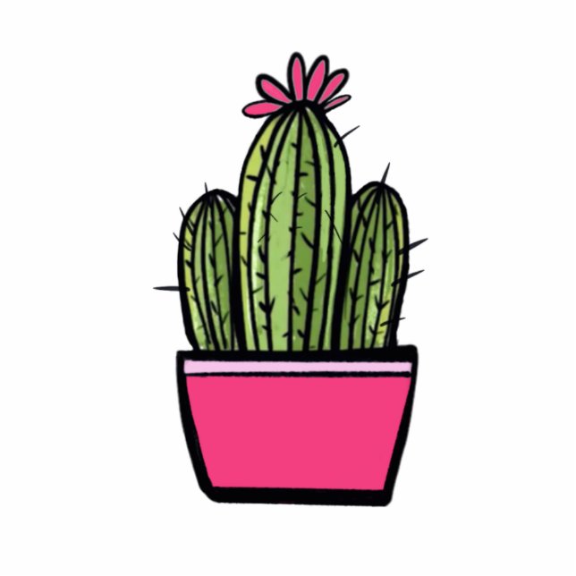 Cute Succulent Cactus Photo Sculpture (Front)