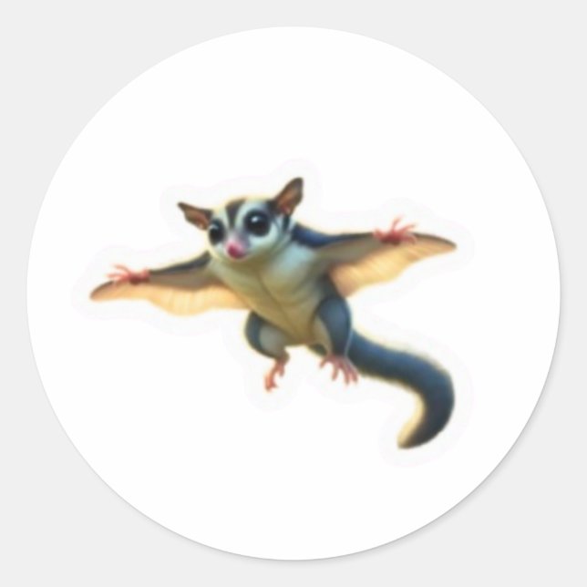 ​Cute Sugar Glider Exotic Pet Illustration Sticker (Front)