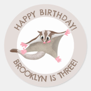 Cute sugar glider personalised cartoon birthday classic round sticker