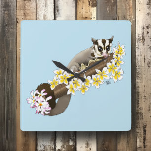 Cute Sugar Glider Tropical Plumeria Flowers Blue Square Wall Clock