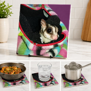Cute Sugar Glider Wearing Hat Pet Lover Kitchen Tile