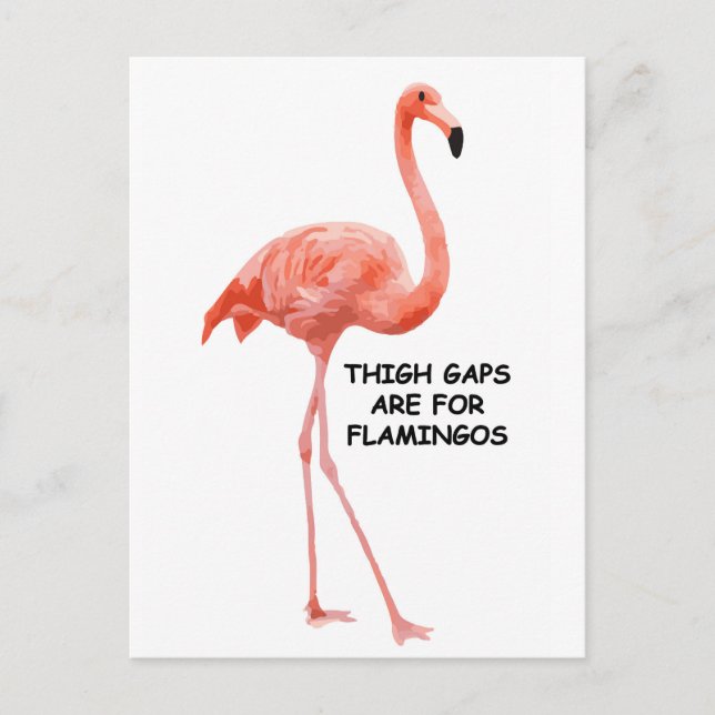 Cute Summer Inspirational Pink Flamingo Postcard (Front)