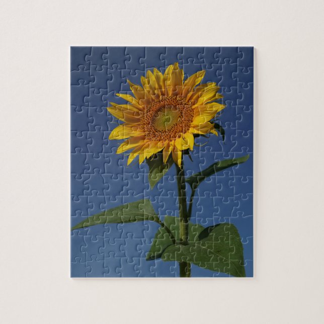 cute sunflower nature jigsaw puzzle (Vertical)