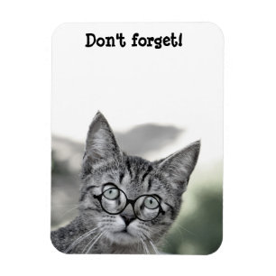 Cute Surprised Cat with Glasses Magnet