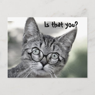Cute Surprised Cat with Glasses Post Card