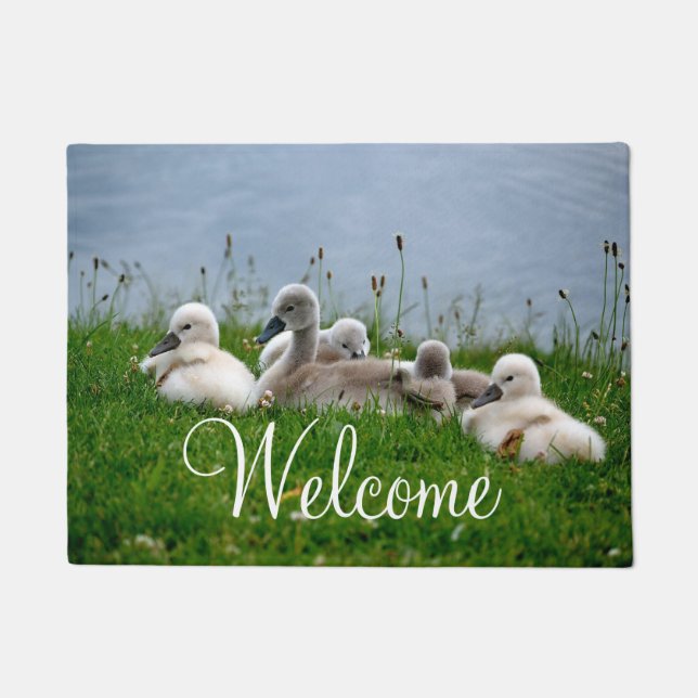Cute Swan Babies Welcome Doormat (Front)