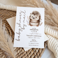 Cute Sweet Little Hedgehog Baby Shower By Mail