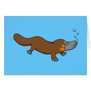 Cute swimming duck-billed platypus