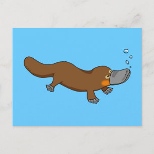 Cute swimming duck-billed platypus postcard