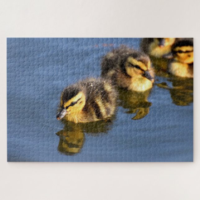 Cute swimming ducklings jigsaw puzzle (Horizontal)