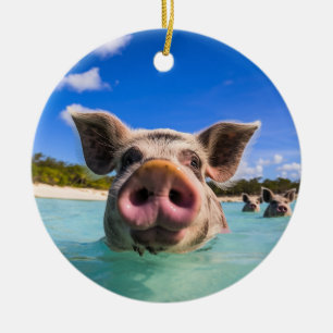 Cute Swimming Pig Exuma Bahamas Ceramic Tree Decoration