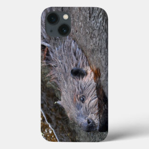 Cute Swimming Wild Beaver Wildlife Photo iPhone 13 Case