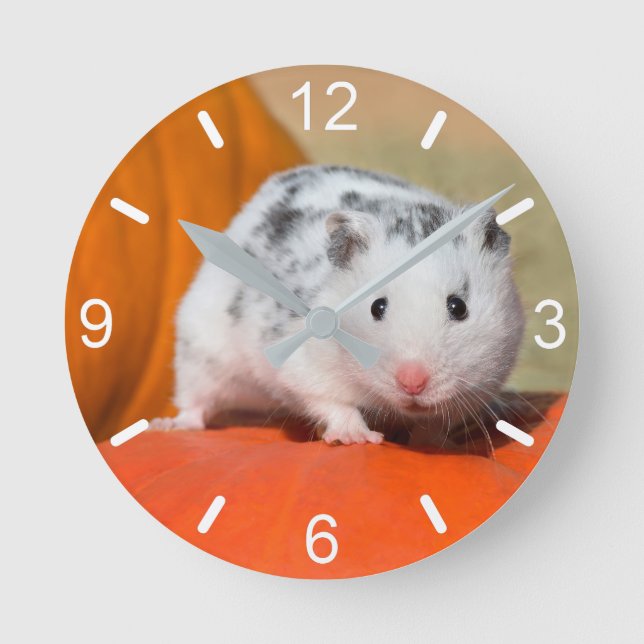 Cute Syrian Hamster White Black Spotted dial-plate Round Clock (Front)