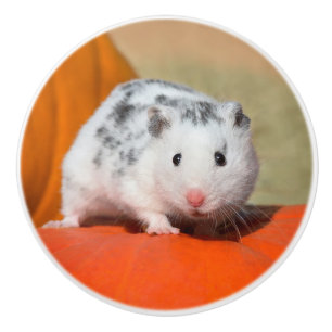 Cute Syrian Hamster White Black Spotted Funny Pet Ceramic Knob