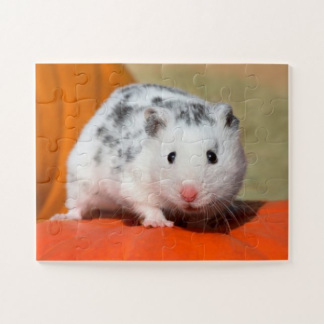 Cute Syrian Hamster White Black Spotted Funny Pet Jigsaw Puzzle (Horizontal)