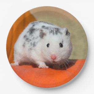 Cute Syrian Hamster White Black Spotted Funny Pet Paper Plate